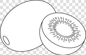 Circle Clipart Fruit   Outline Of Kiwi Fruit  HD Png Download