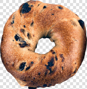 Bagel Png Image   Bagel Flavors  Transparent Png