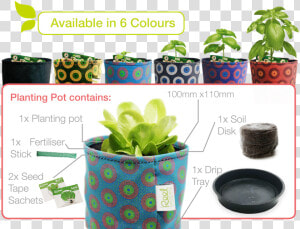 Transparent Indoor Plant Png   Food Decomposing Flower Pot  Png Download