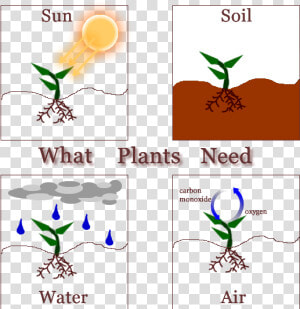 Clipart Sun Soil Air Water Banner Second Grade Leonor   Needs Of The Plants  HD Png Download