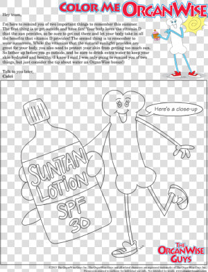 Organwise Guys Activity Sheets June  HD Png Download