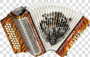 Hohner Tigres Del Norte  HD Png Download