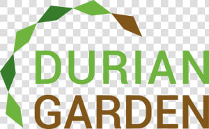 Durian Garden   Png Download   Durian  Transparent Png