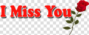 I Miss You Png Hd Pics   Miss You Png Text  Transparent Png