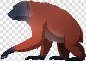 Island Weirdness   Fontoynontii Giant Lemur  HD Png Download