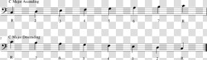 C Major Scale Descending Bass Clef  HD Png Download