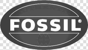 Fossil Logo Png Transparent Image   Fossil  Png Download