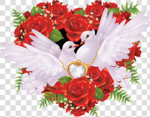 Transparent Wedding Doves Png   Love Birds With Rose  Png Download