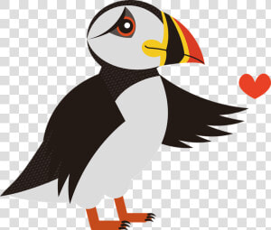 Puffin  Bird  Sea  Birds  Animal  Iceland  Waterfowl   Lunde Fugl Png  Transparent Png