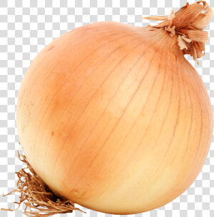 Brown Onion Png Image   Onion Png  Transparent Png