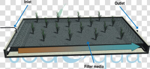 Diagram Of A Horizontal Flow Wetland   Barbed Wire  HD Png Download