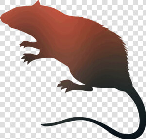 Rat Vector Graphics Royalty free Silhouette Stock Photography   Rat Silhouette  HD Png Download