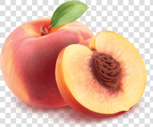 White Peach Png   Png Download   Peach Fruits  Transparent Png