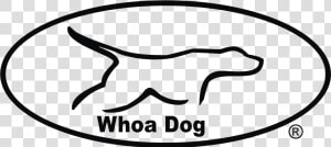 Whoa Dog Decals Class Lazyload Lazyload Mirage Featured  HD Png Download