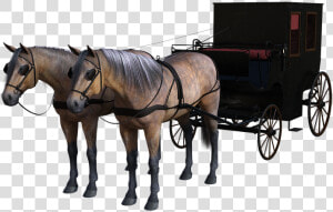 Transparent Horse And Carriage Png   Horse And Carriage Png  Png Download