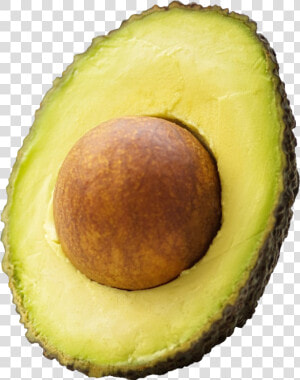 Green Avocado Png Hd Quality   Avocado Transparent  Png Download