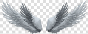 Fotos Com Asas No   Picsart Devil Wings Png  Transparent Png