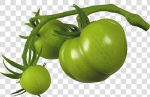 Green Tomato Png   Green Tomato Transparent Background  Png Download