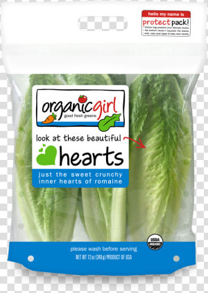 Romaine Lettuce Png  Transparent Png