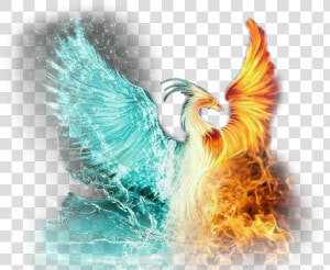  scphoenix  phoenix  ice  fire  iceandfire  flame  fire   Phoenix Fire Blue And Red  HD Png Download