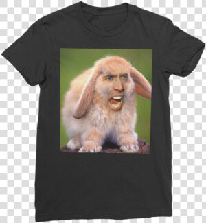 Nicolas Cage S Face On A Rabbit ﻿classic Women S T shirt   Nicolas Cage Meme Rabbit  HD Png Download