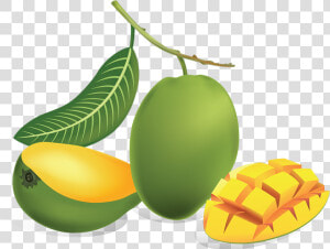 Download Green Mango Png   Green Mango Png  Transparent Png