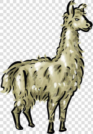 Free Llama 1 Page Of Public Domain Clipart   Transparent Llama Clipart  HD Png Download