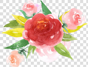 Hand Painted Red Rendering Flower Png Transparent   Red Watercolor Roses Png  Png Download