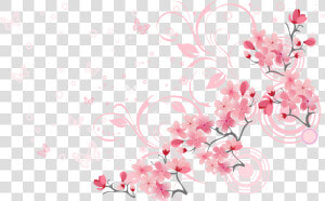 Cherry Blossom Euclidean Vector   Vector Cherry Blossom Png  Transparent Png