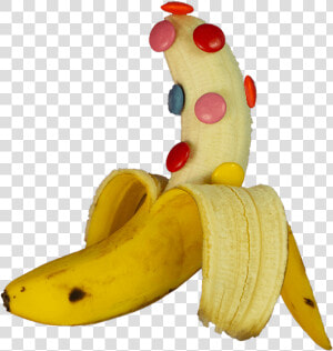 Banana Photo With Smarties   Saba Banana  HD Png Download