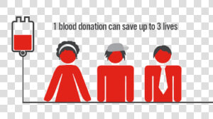 Donor Png Photos   Blood Donation Can Save 3 Lives  Transparent Png