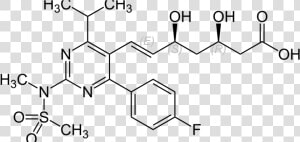 Do Statins Really Work Who Benefits Who Has The Power   Rosuvastatin Metabolism  HD Png Download