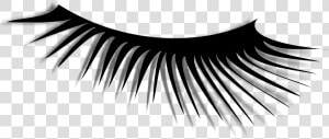 Eye Lash Images   Eye Hair Png  Transparent Png