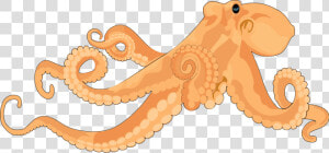 Octopus Images Image Png Clipart   Realistic Octopus Clipart  Transparent Png