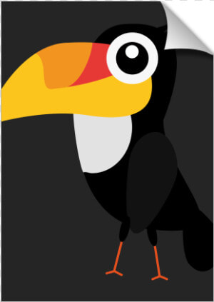 Toucan Bird   Toucan  HD Png Download