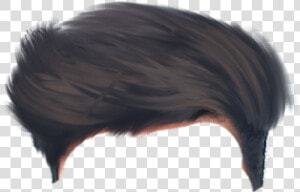 Autodesk Sketchbook Hair Png  Transparent Png