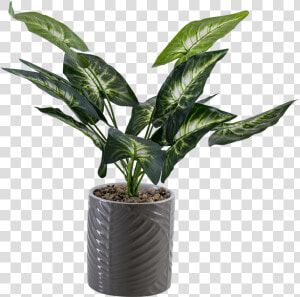 Flowerpot  HD Png Download