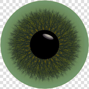 Eye  Iris  Green  Trees  Circle  Pupil  Sight  Looking   Circle  HD Png Download