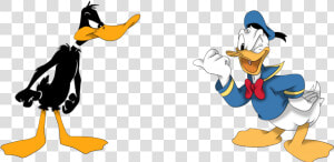 Daffy Duck Woth Donald Png Image   Daffy Duck And Donald Duck  Transparent Png