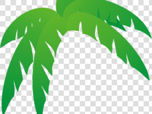 Palm Tree Clipart Palmera   Clip Art Palm Tree Leaves  HD Png Download