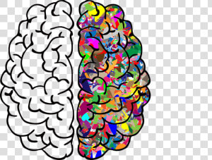 Cerebro  Mente  A  Me  Ai  Anatomía   Left And Right Brain Png  Transparent Png