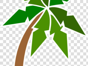 Plant Clipart Coconut Tree   Ada Ağacı Png  Transparent Png