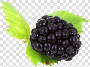 Black Berrys  HD Png Download