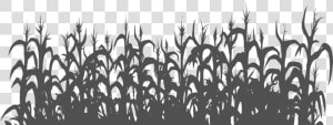 Michael Fassbender Png Download   Silhouette Corn Field Clipart  Transparent Png