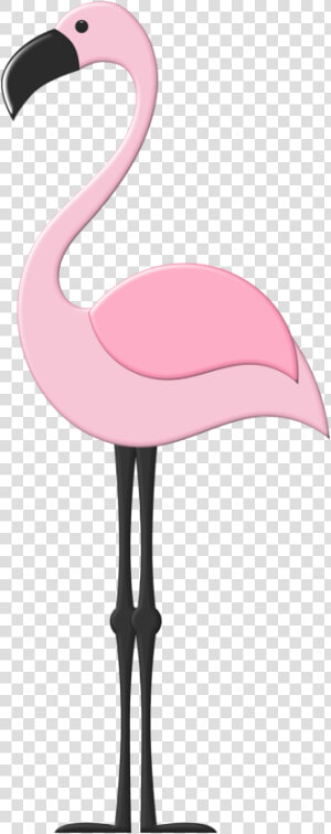 B  ✿  Flamencos Decoracion  Bolsas Playeras  Patrón   Clip Art Printable Flamingo  HD Png Download