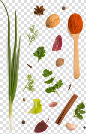 Herb Parsley Garlic Vegetable Spices Condiment Spice   Herbs And Spices Png  Transparent Png