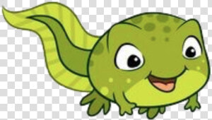 Cartoon Tadpole  HD Png Download