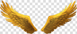  goldenwings  goldwings  golden  gold  wings  wimg   Gold Angel Wings Png Transparent  Png Download