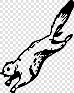 Clipart Flying Squirrel Images Pictures   Flying Squirrel Coloring Page  HD Png Download