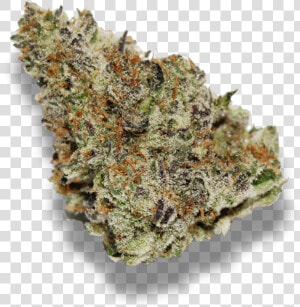 Mendo Breath   Wifi Og Weed Strain  HD Png Download